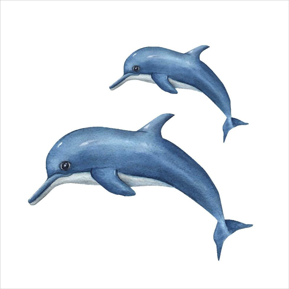 Watercolor cartoon swimming dolphins. Sea illustration can be used for kids room decor, kids print, poster, pattern, stickers, wallpaper, wrapping vector