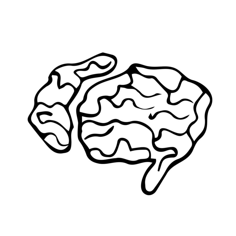 doodle brain icon with hand drawn style vector isolated background