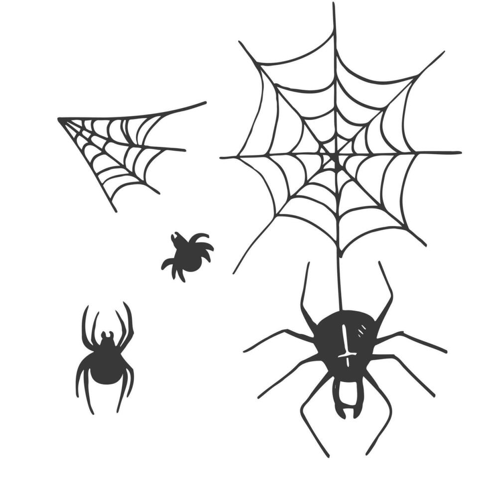 Spider web and spiders set of elements in hand drawn style. vector graphic simple doodle liner style.