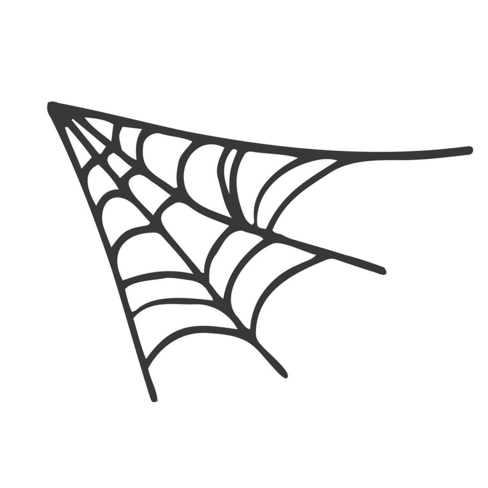 Hand drawn spider web. Doodle style cobweb. Halloween background. Vector illustration