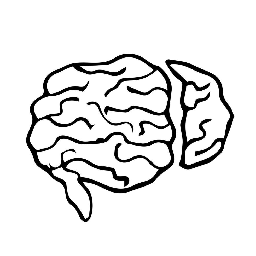 doodle brain icon with hand drawn style vector isolated background
