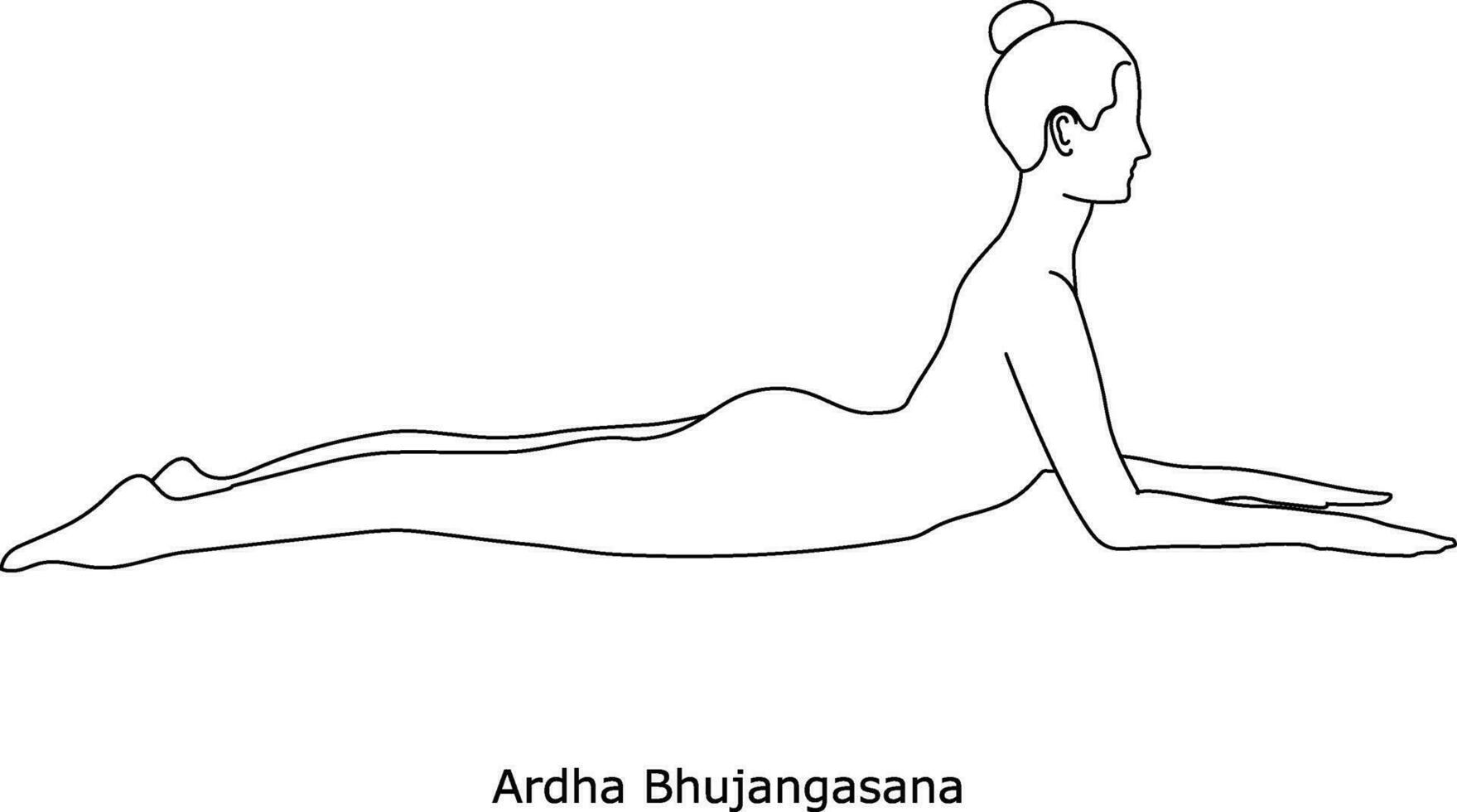 Girl doing yoga. Asana Ardha. Line art in sketch style isolated on white background vector