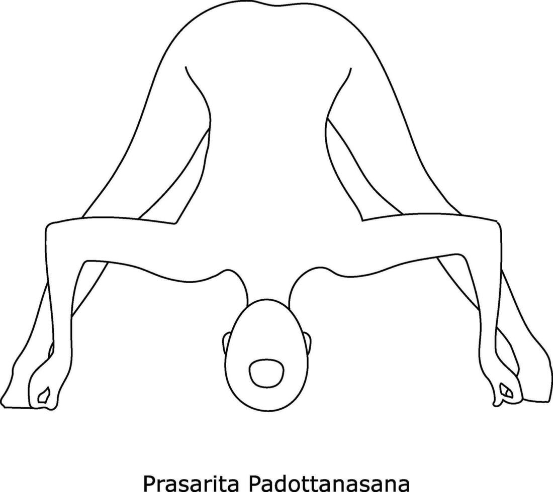 Girl doing yoga. Asana Prasarita. Line art in sketch style isolated on white background vector