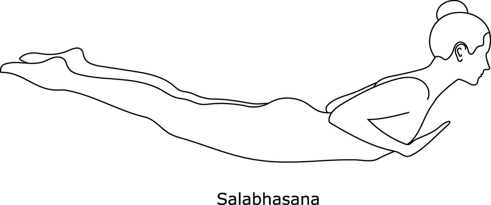 Girl doing yoga. Asana Salabhasana. Line art in sketch style isolated on white background vector