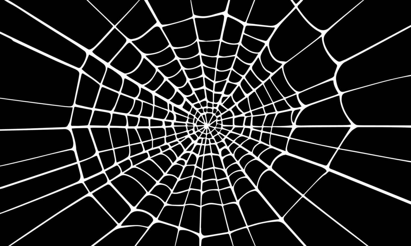 araña web, mano dibujado. vector ilustración en un negro antecedentes.