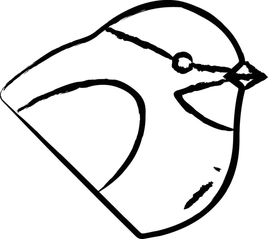 Chickadee bird hand drawn vector illustration