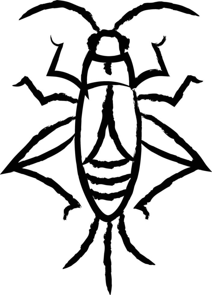 Cricket bug hand drawn vector illustration