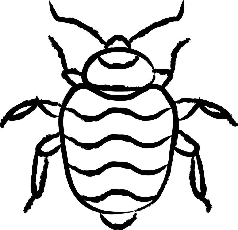 Bed bug hand drawn vector illustration