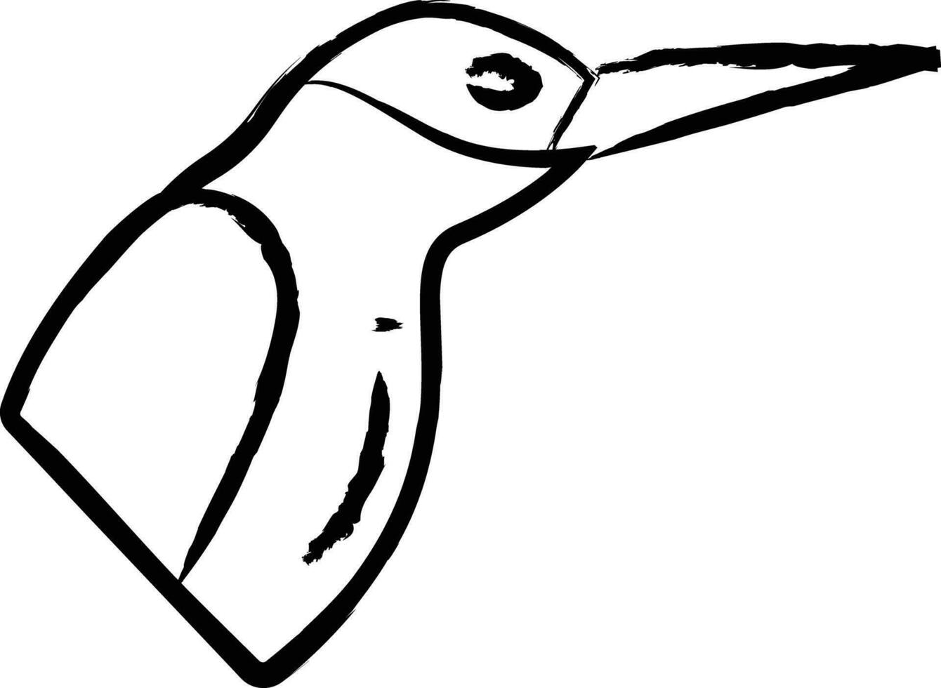 colibrí mano dibujado vector ilustración