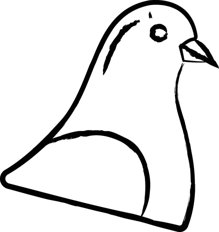 Pigeon bird hand drawn vector illustration