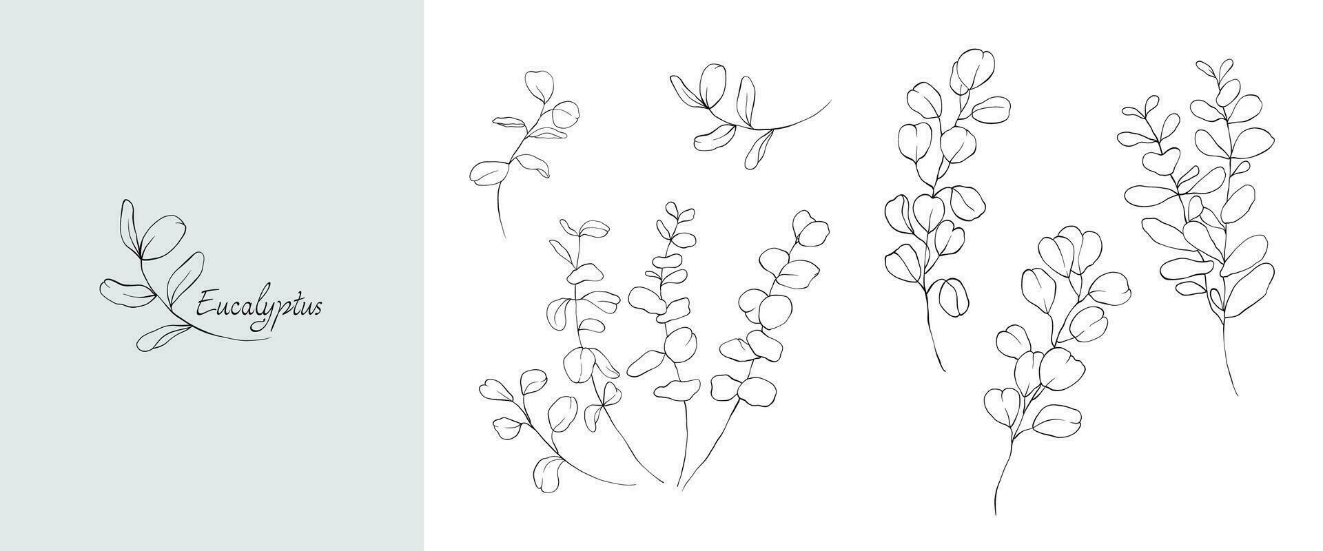 Set of minimalist botanical line elegant leaves branch vector