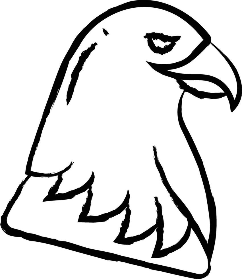 Eagle bird hand drawn vector illustration