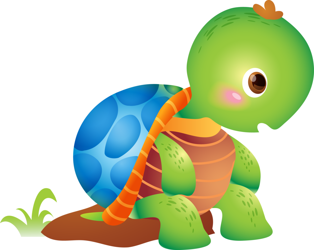 Cartoon smiling turtle. Funny little turtles png