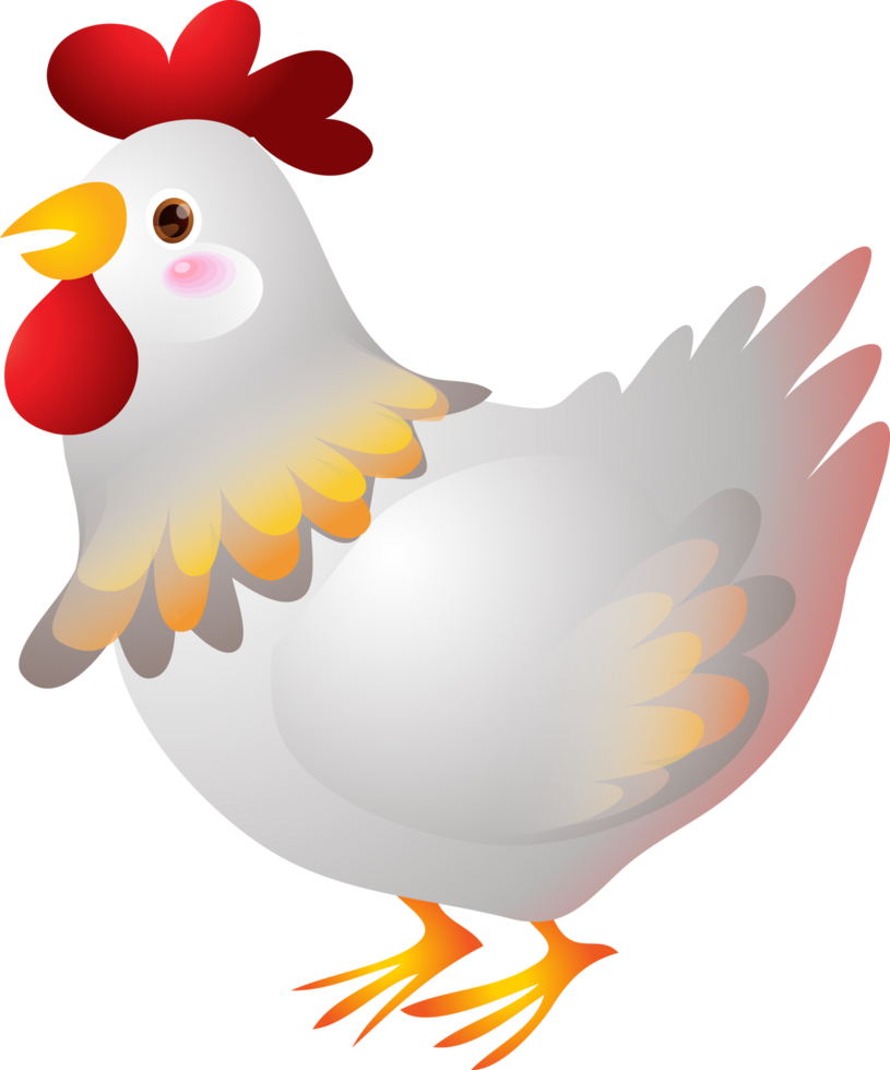 cute animal chicken cartoon character png