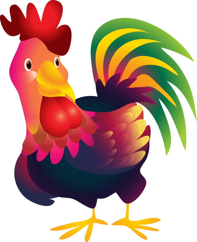 cute animal chicken cartoon character png