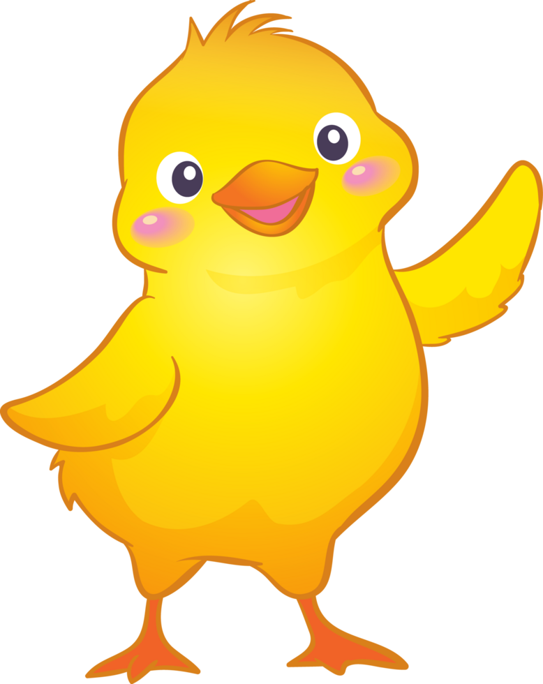 Cute animal cartoon little chicken png