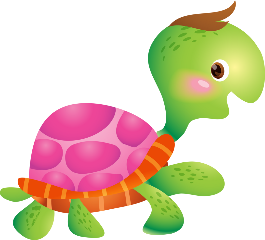 Cartoon smiling turtle. Funny little turtles png