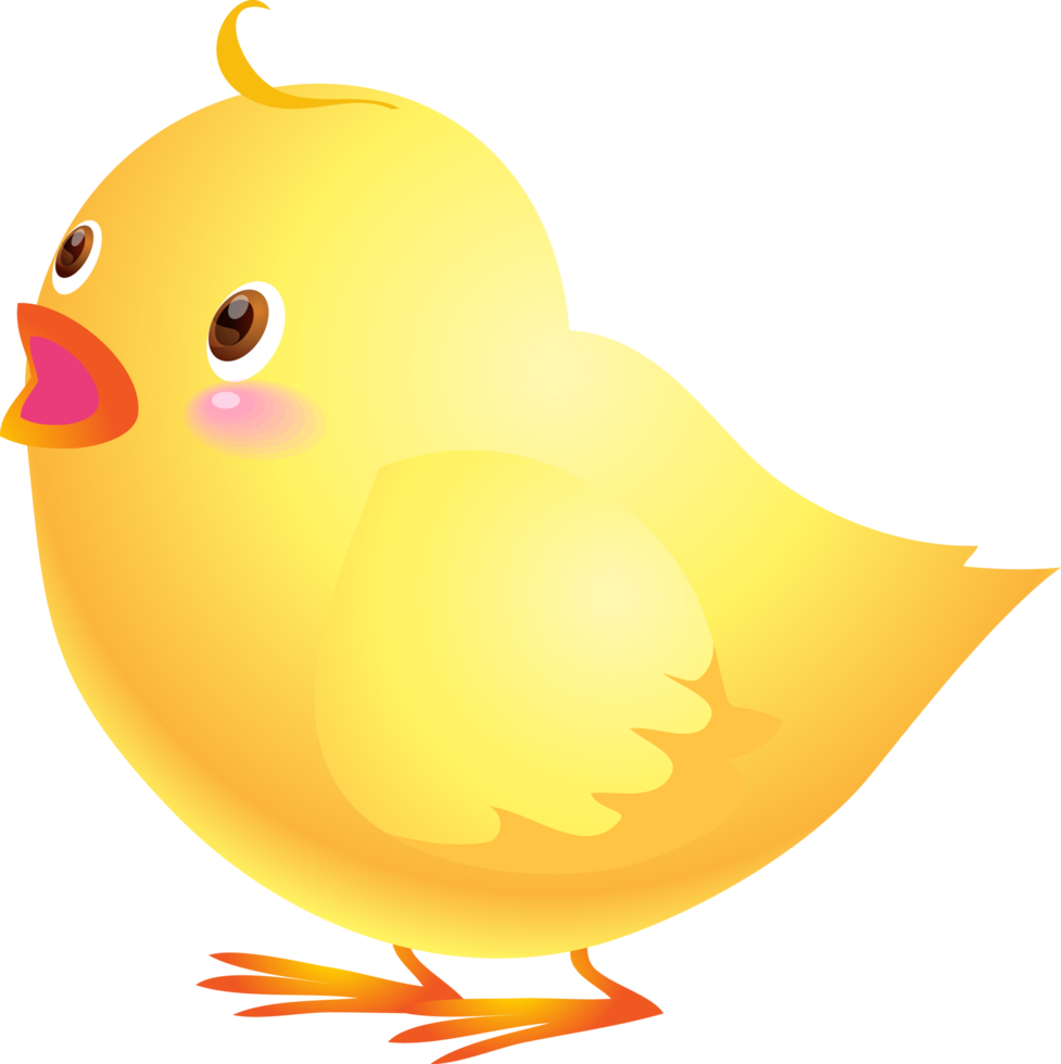 Cute animal cartoon little chicken png