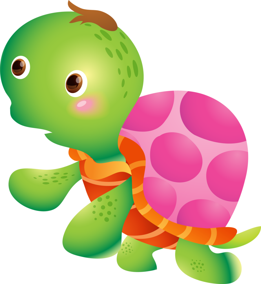 Cartoon smiling turtle. Funny little turtles png