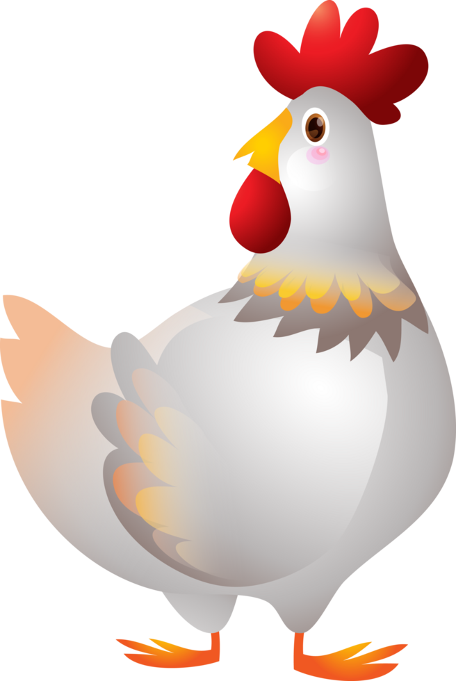 cute animal chicken cartoon character png