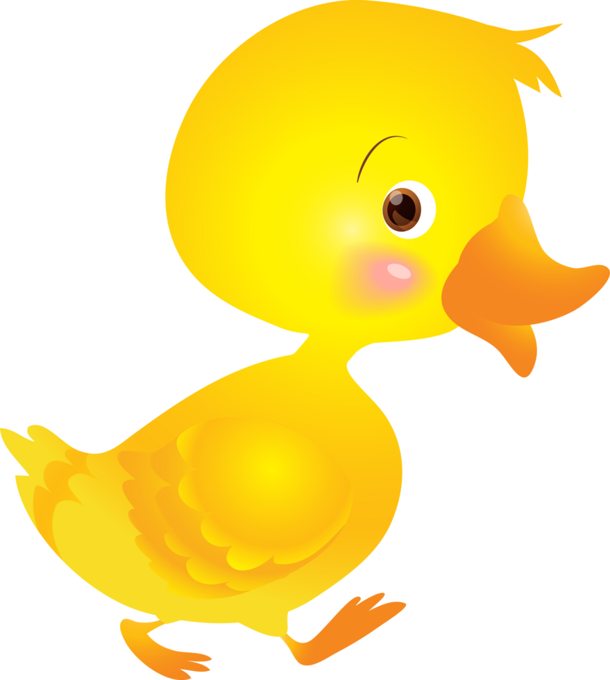 fofa animal desenho animado pequeno Pato png