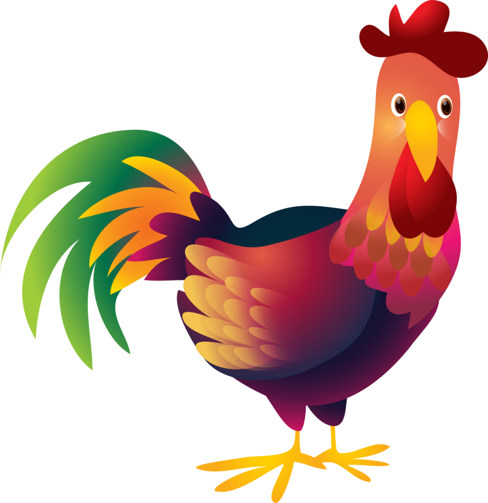 cute animal chicken cartoon character png