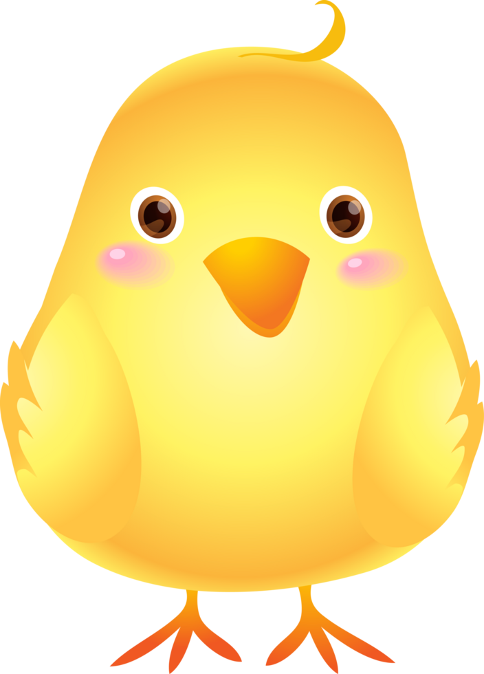 Cute animal cartoon little chicken png