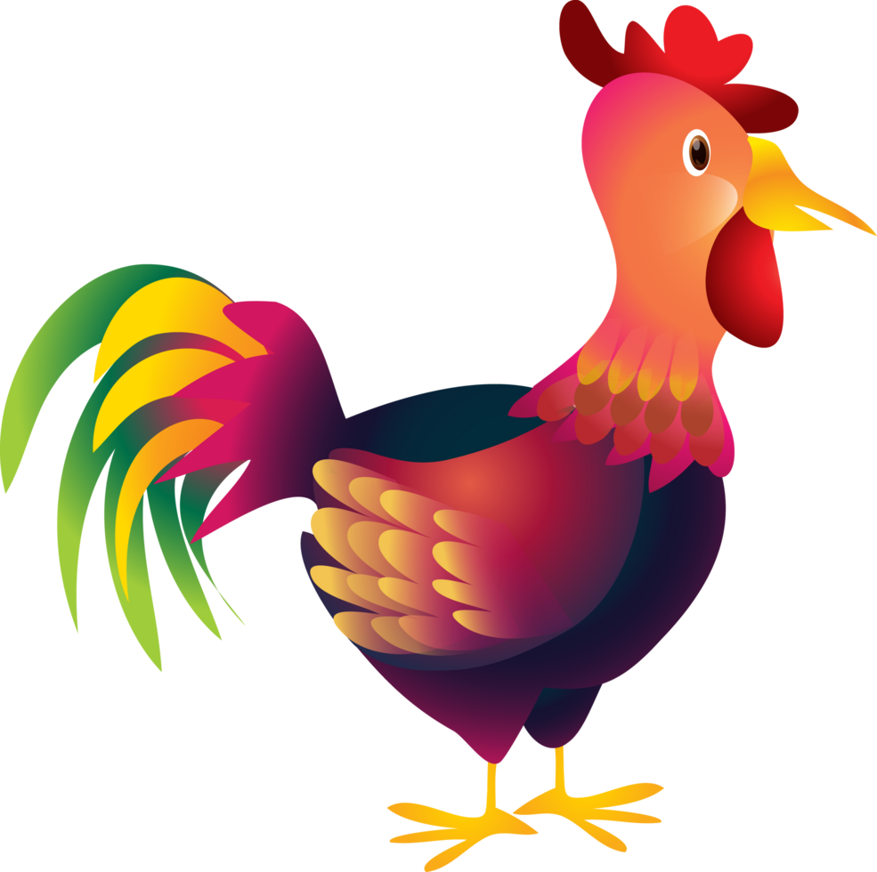 cute animal chicken cartoon character png