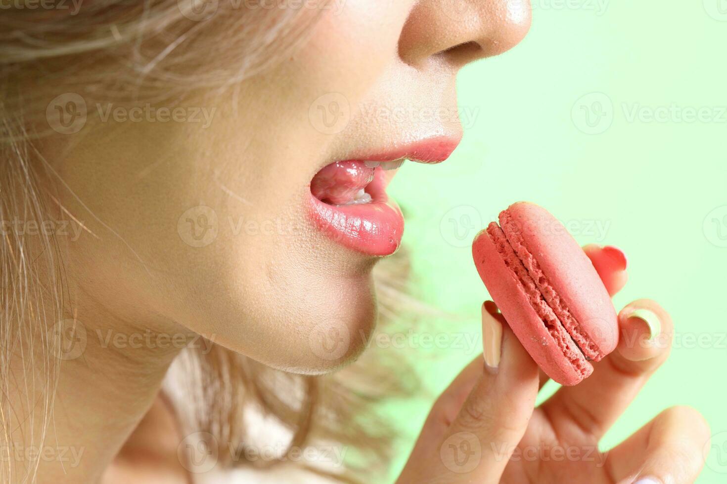Macaroons Sweet Dessert photo