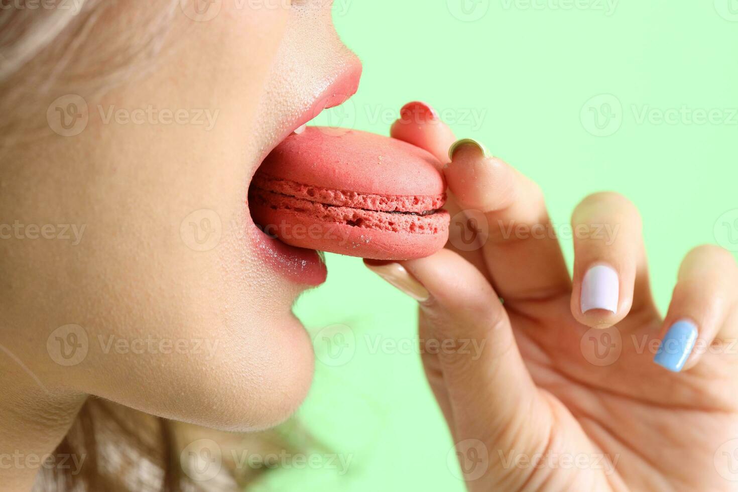 Macaroons Sweet Dessert photo