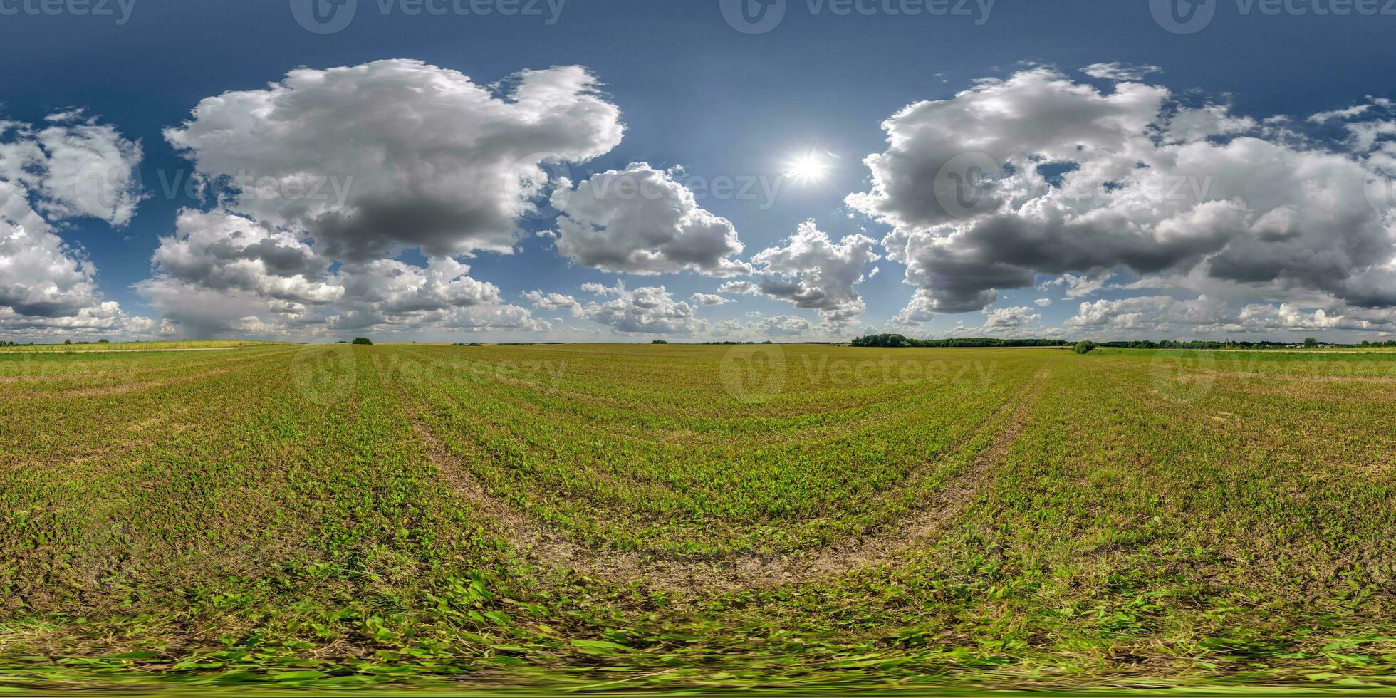 spherical 360 hdri panorama among green grass farming field with storm clouds on blue sky in equirectangular seamless projection, use as sky dome replacement, game development as skybox or VR content photo