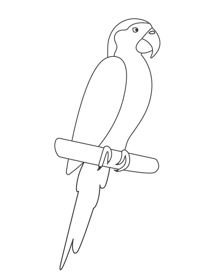 Doodle cute macaw isolated on white background. Vector exotic tropical parrot. Domestic bird. Coloring picture