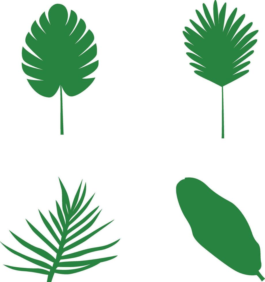 Hand Drawn Exotic Palm Leaves. Palm Leaf, Coconut Leaf, Banana Leaves, etc. Vector Illustration Set.