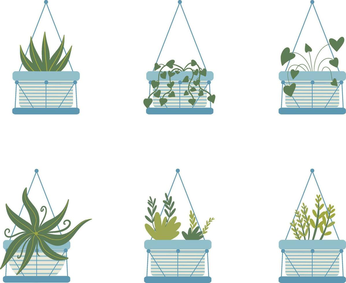 Hanging Potted Plant In White Background. Vector Illustration Set.