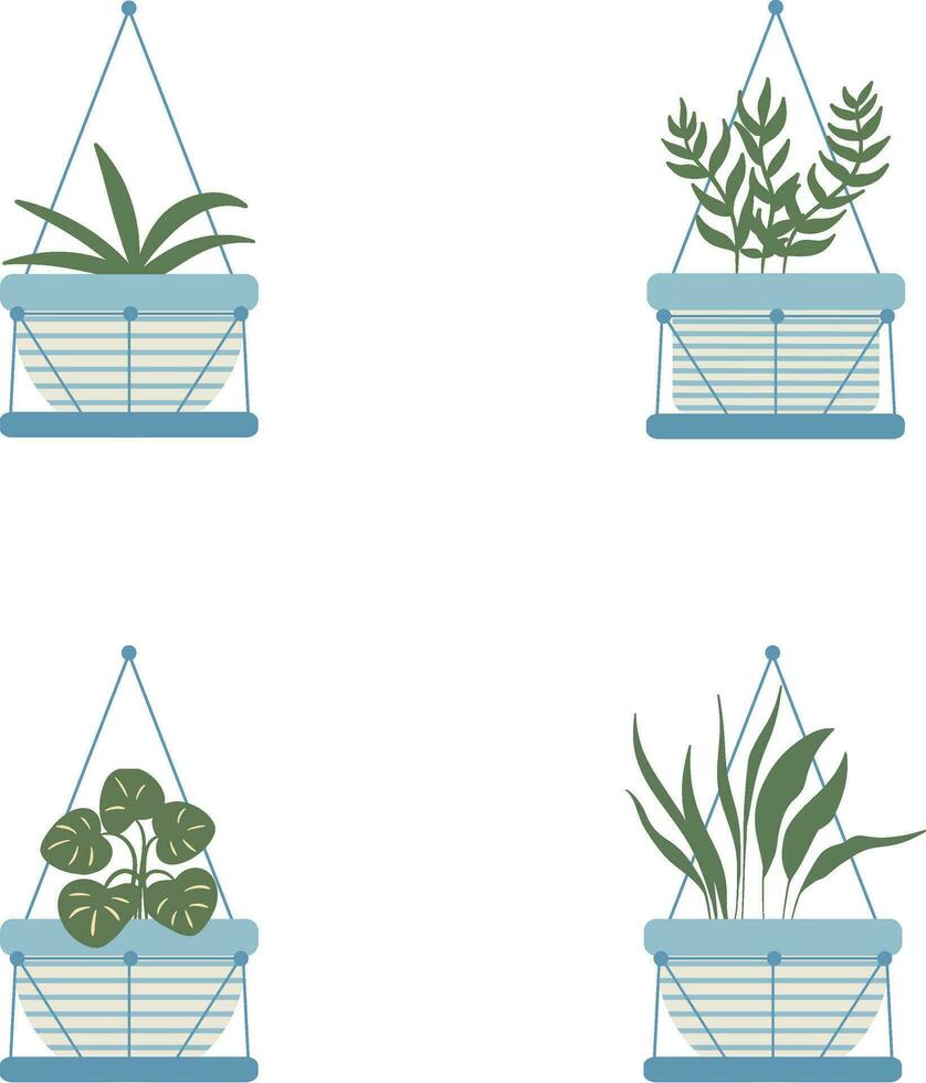 colgando en conserva planta en blanco antecedentes. vector ilustración colocar.