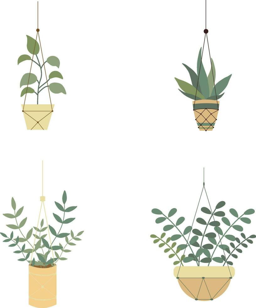 Hand Drawn Hanging Potted Plant. Isolated Vector Set.