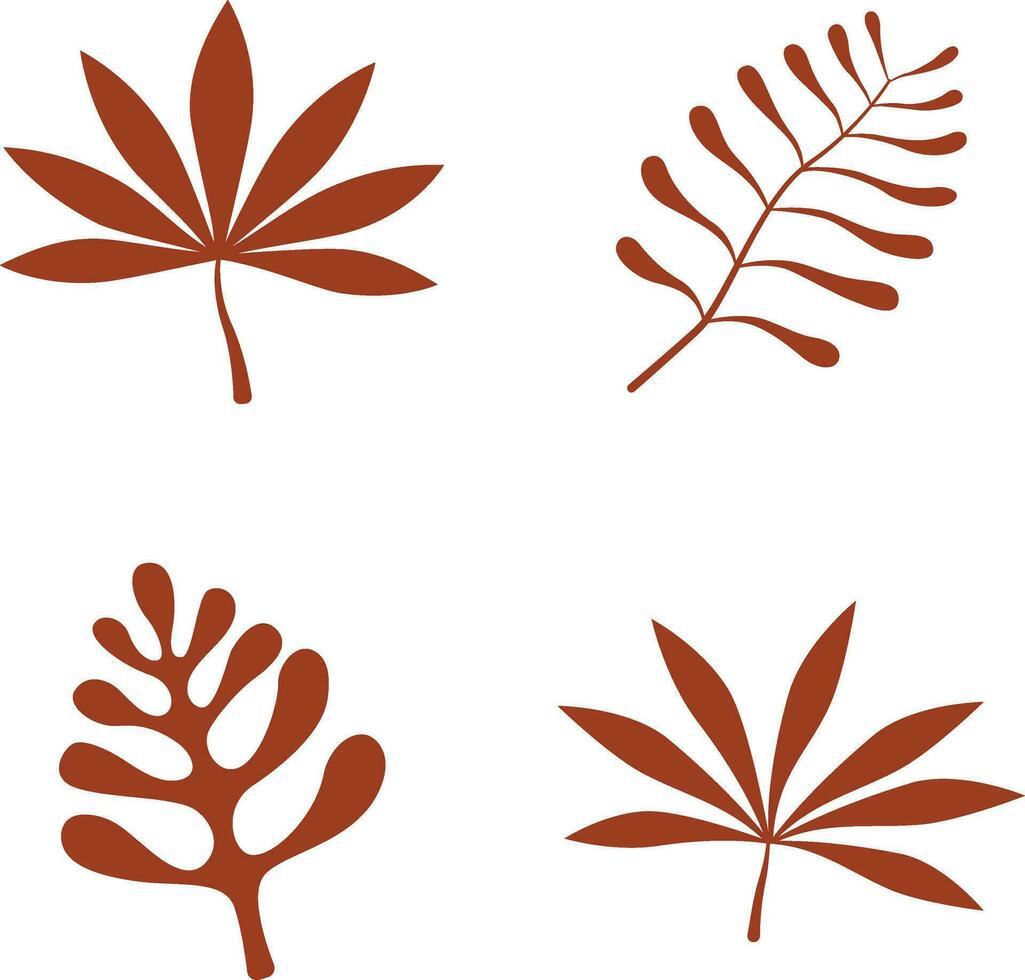 Hand Drawn Exotic Palm Leaves. Palm Leaf, Coconut Leaf, Banana Leaves, etc. Vector Illustration Set.