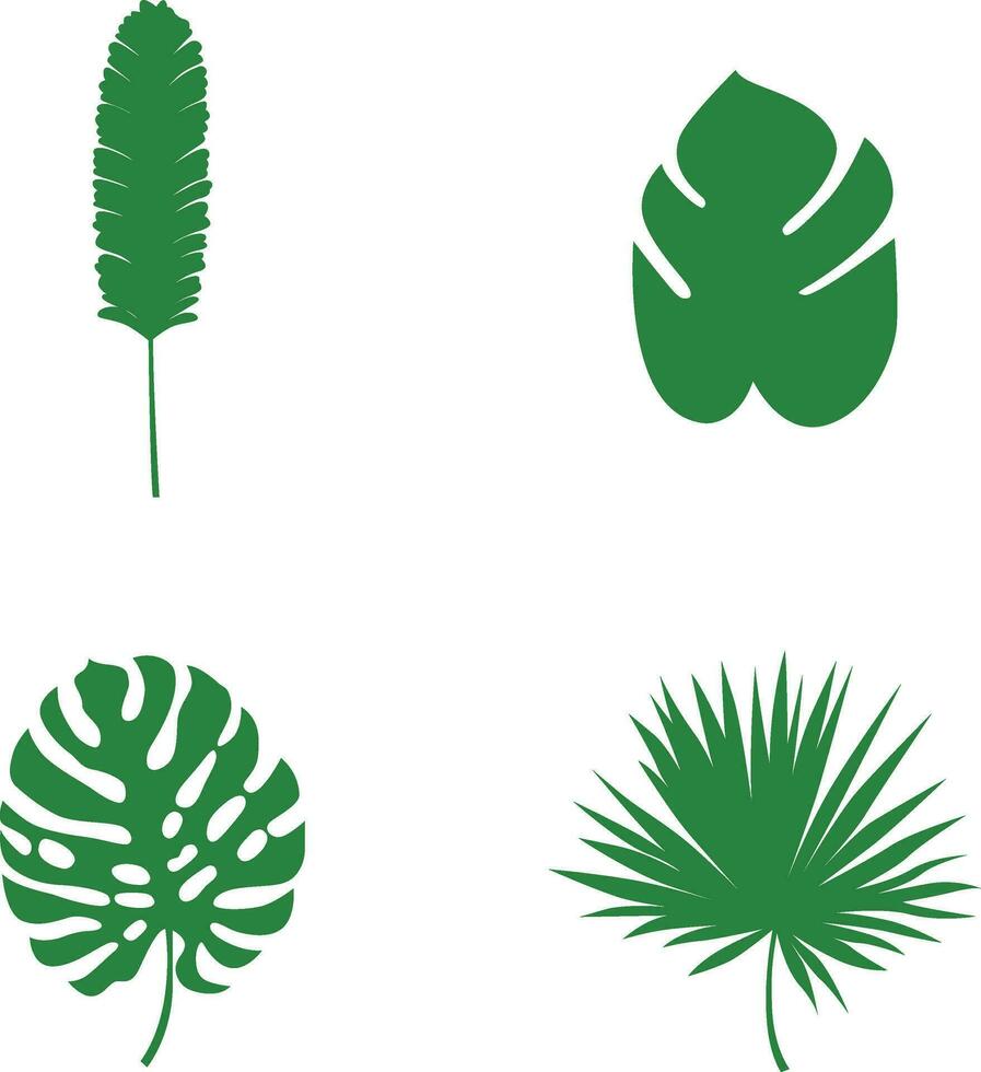 Hand Drawn Exotic Palm Leaves. Palm Leaf, Coconut Leaf, Banana Leaves, etc. Vector Illustration Set.