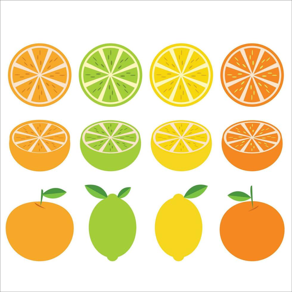 Citrus Fruit Design Clipart Set vector