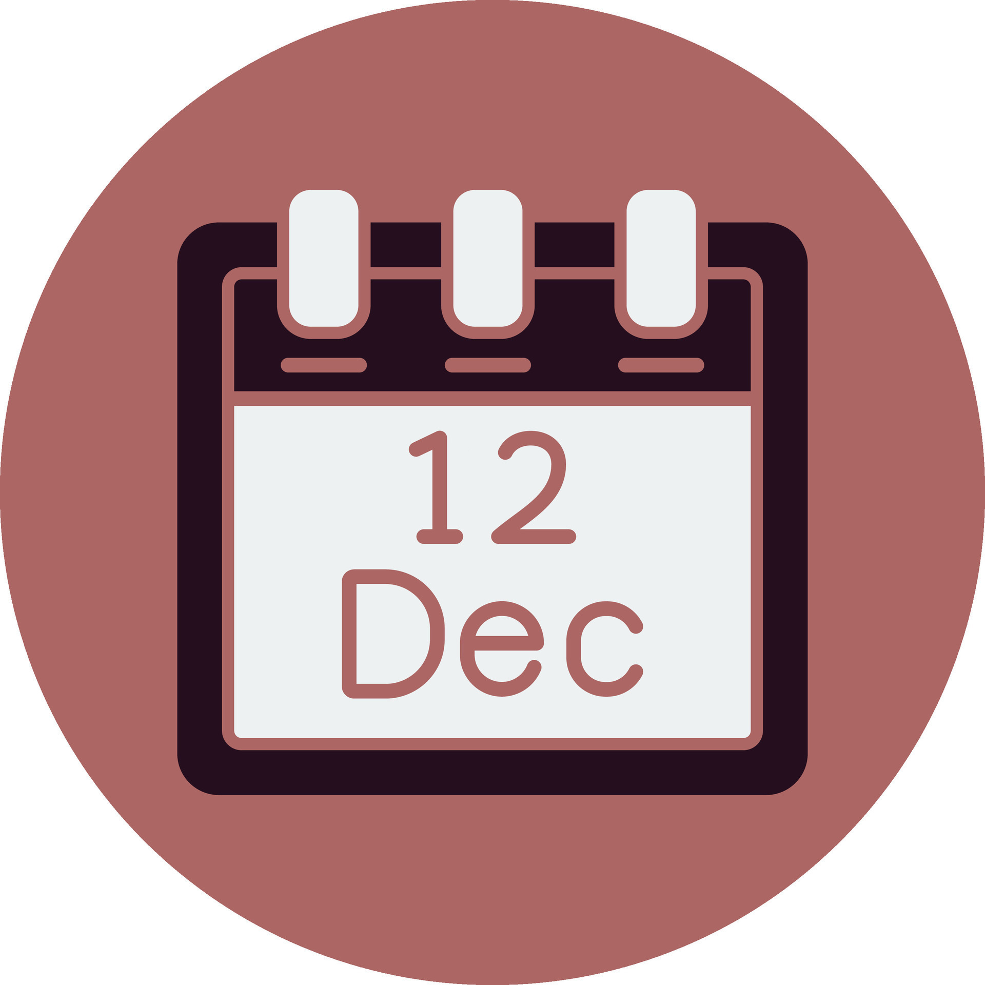 12s that come out in december