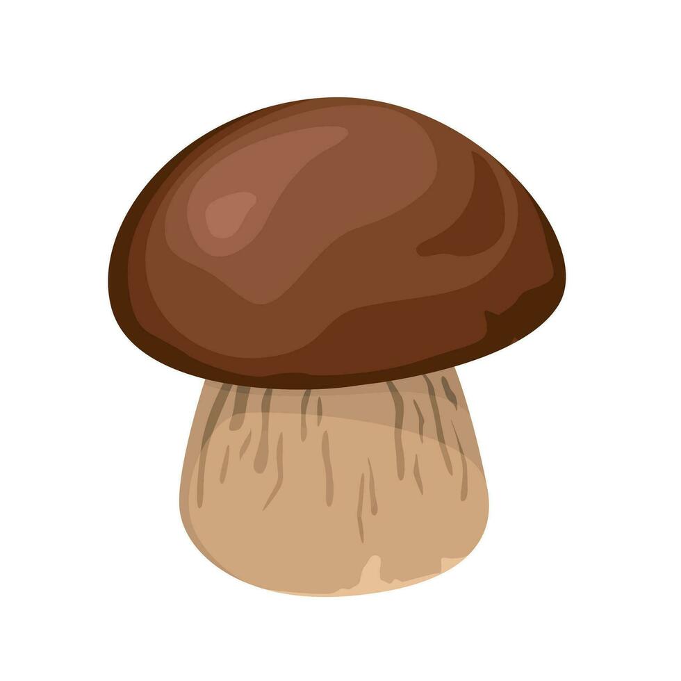 Champignon mushroom cartoon vector icon illustration of isolated on white