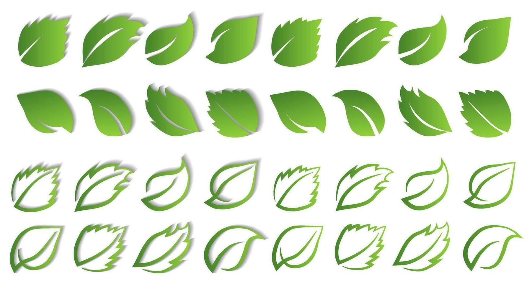 A set of green leaves on a white background with and without a shadow, for logos, designs, for the symbolism of the green planet vector