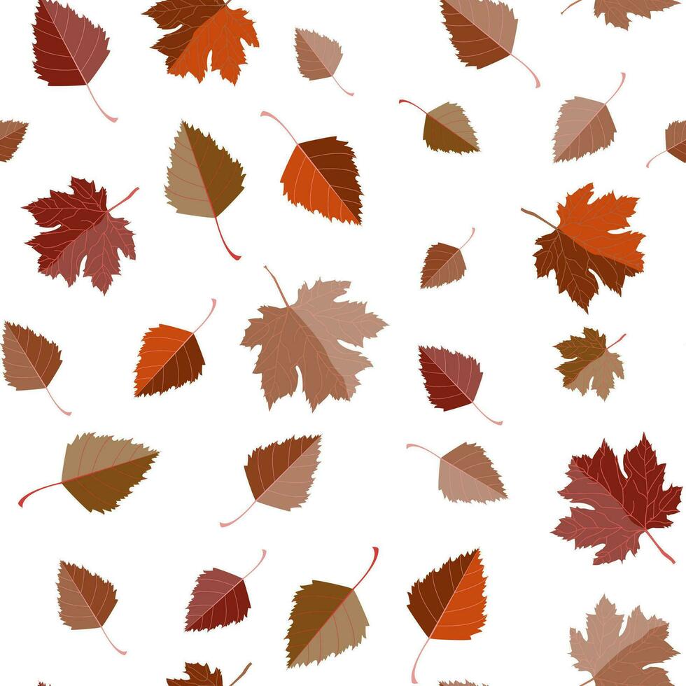 Multicolored autumn seamless pattern of autumn birch leaves on a white or transparent background vector