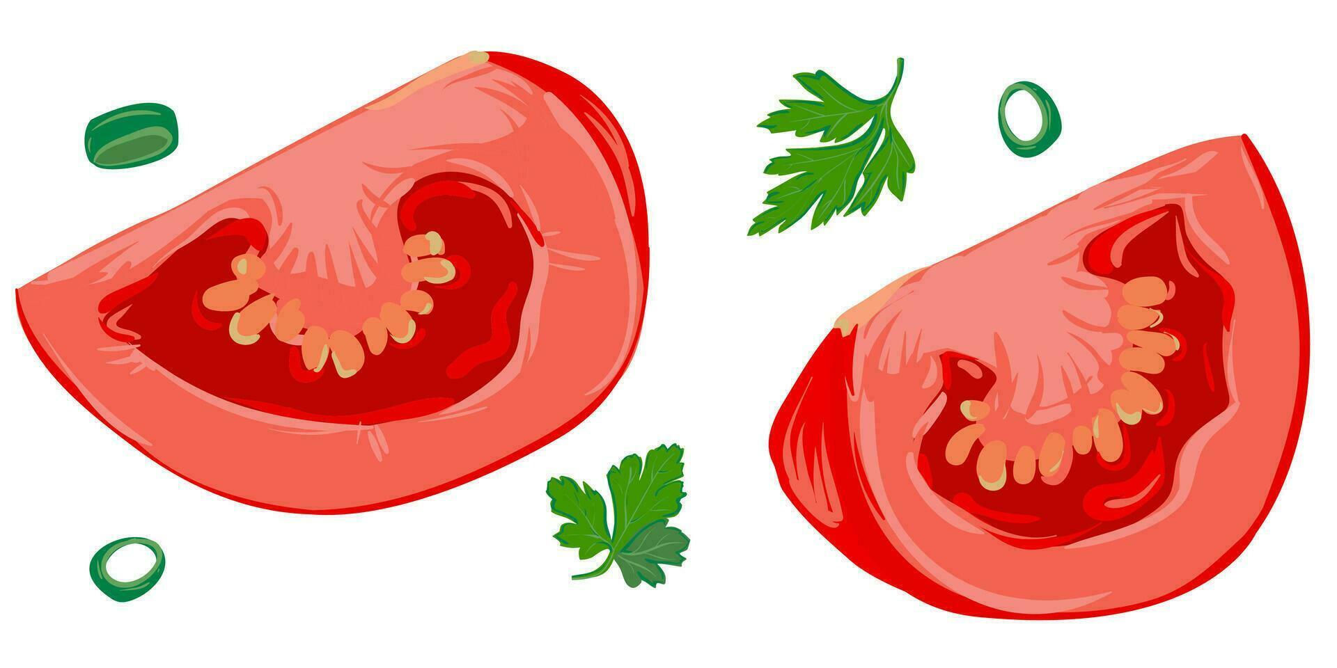 Fresh red tomatoes Vector illustration