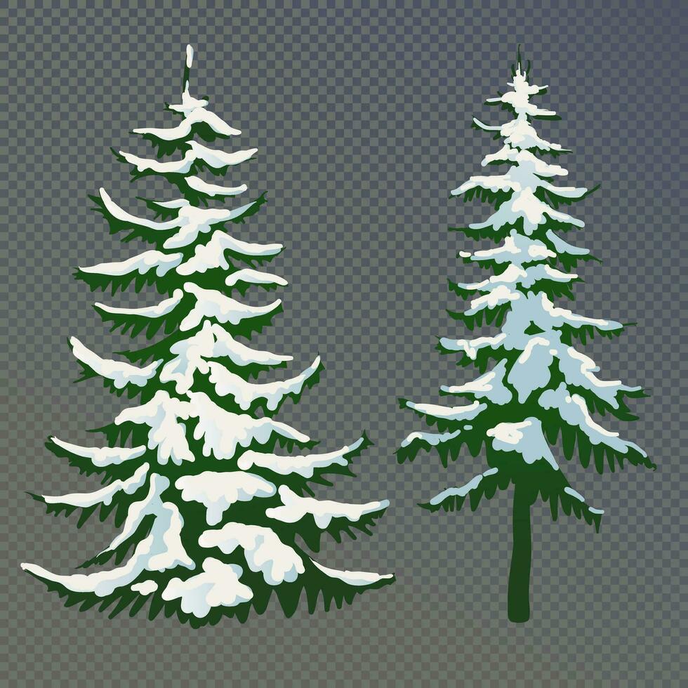 Realistic vector illustration of a spruce tree in the snow on . Green fluffy pine. Winter snow-covered trees. Elements for the Christmas scene.
