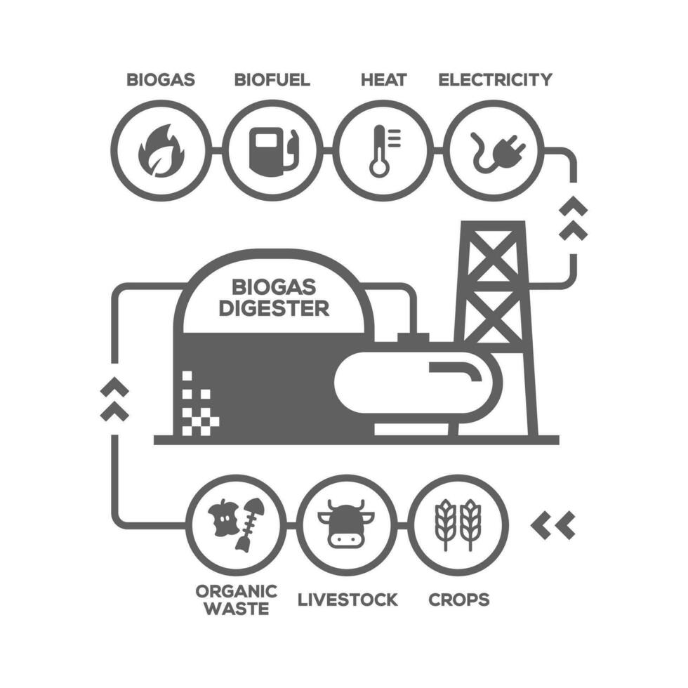 Simple Biogas Plant Diagram. Biogas production stages, renewable energy and green environment vector