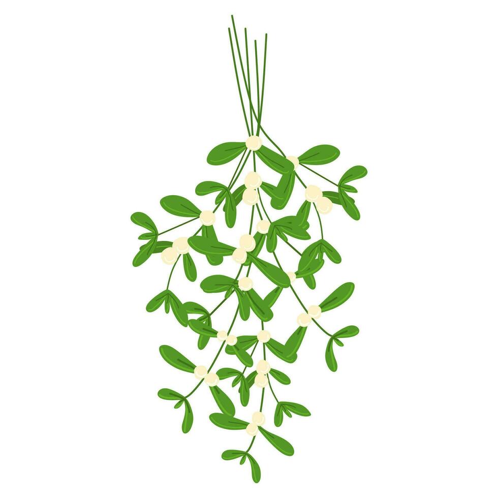 Hanging mistletoe with white berries. Hand drawn cute cartoon flat illustration. Vector Christmas plant sticker in colored doodle style. New Year, Xmas branches icon or print. Isolated on white.