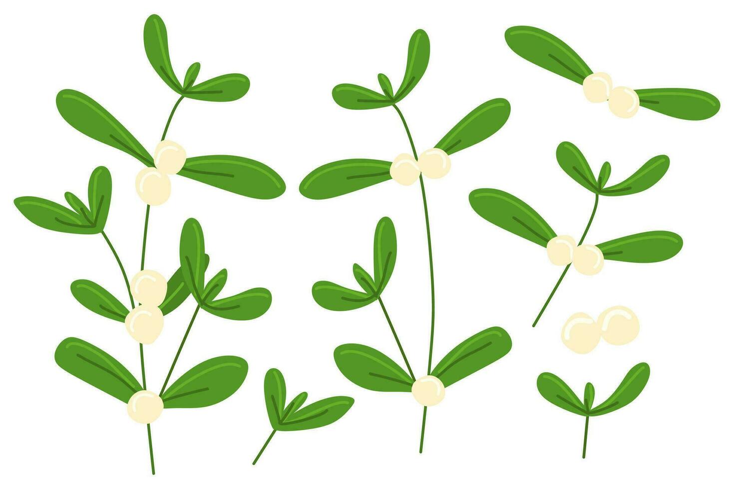 Mistletoe floral set. Green Branches and white berries for greeting cards, invitations, posters, banners. Vector Seasonal Botanical Decoration, Template for postcards isolated on white background.
