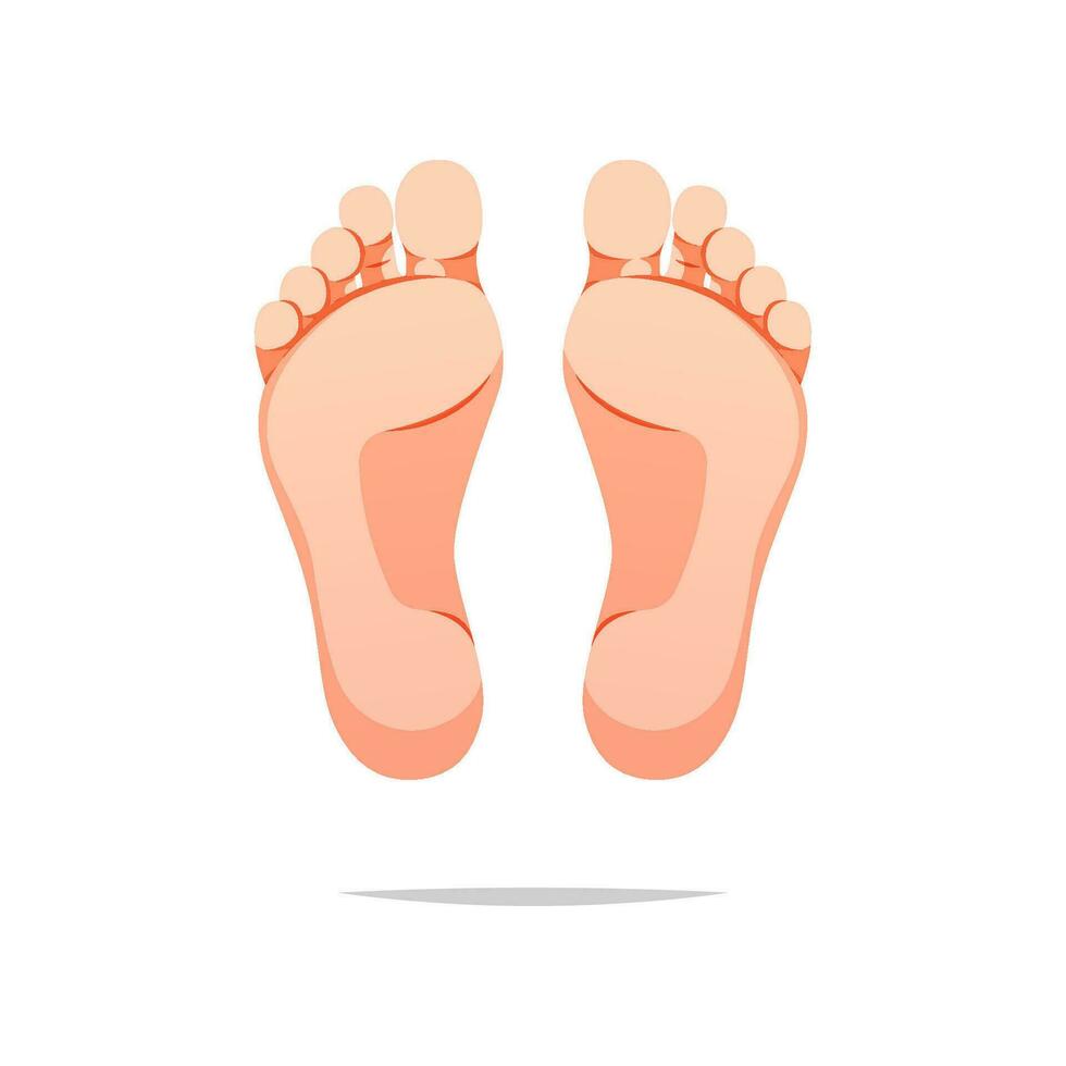 foot or pair of bare feet on isolated background 8508320 PNG