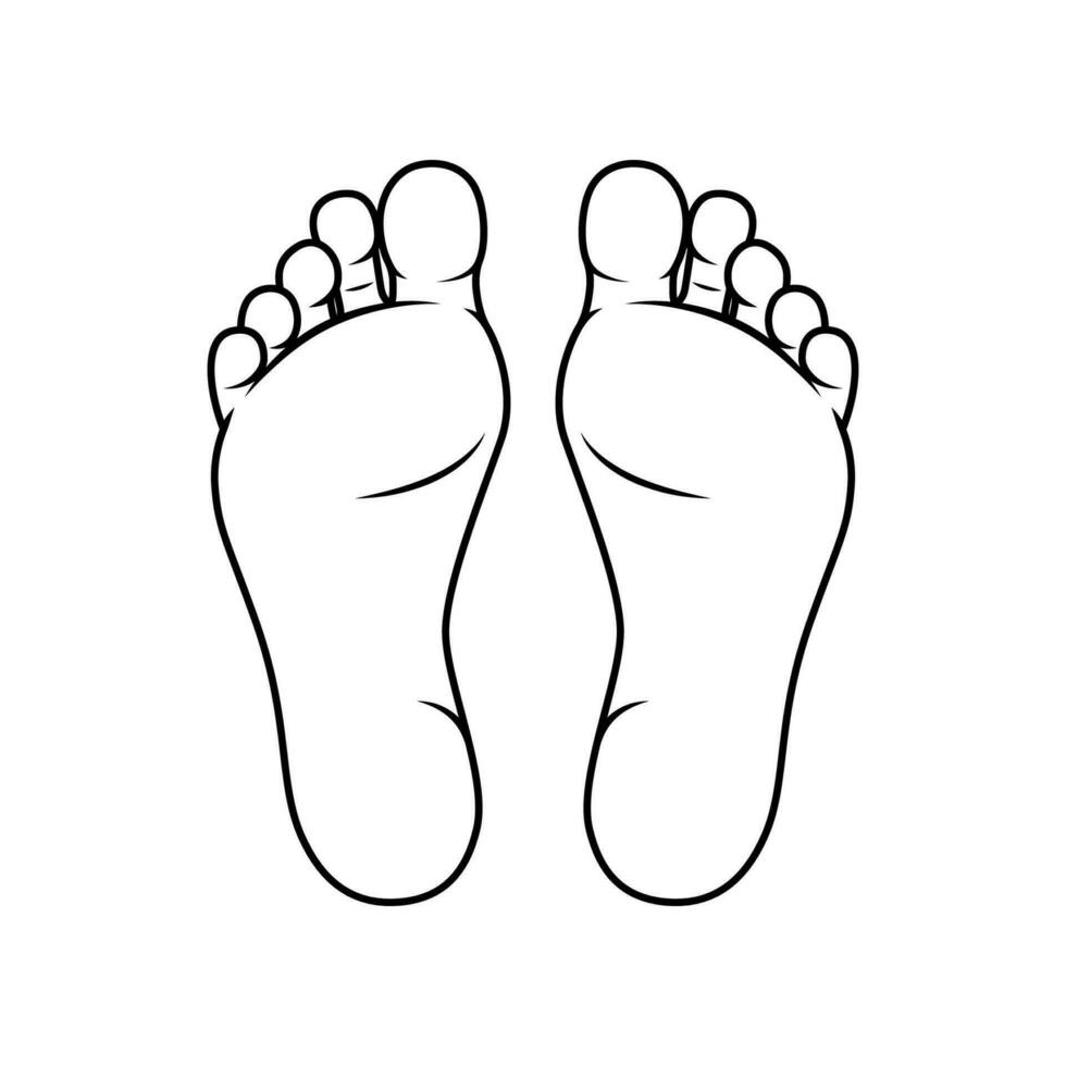 Line foot soles illustration. Bare feet vector isolated on white background.